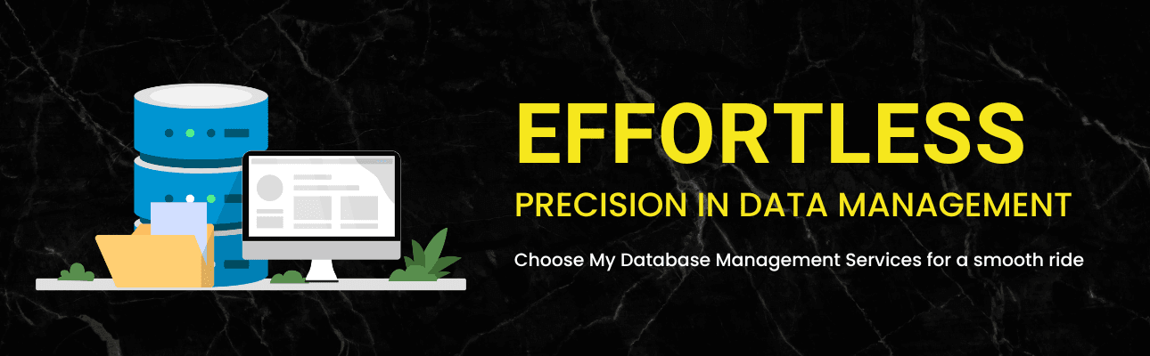 Database Management Service